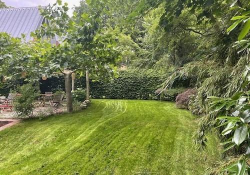 Blick in den Garten