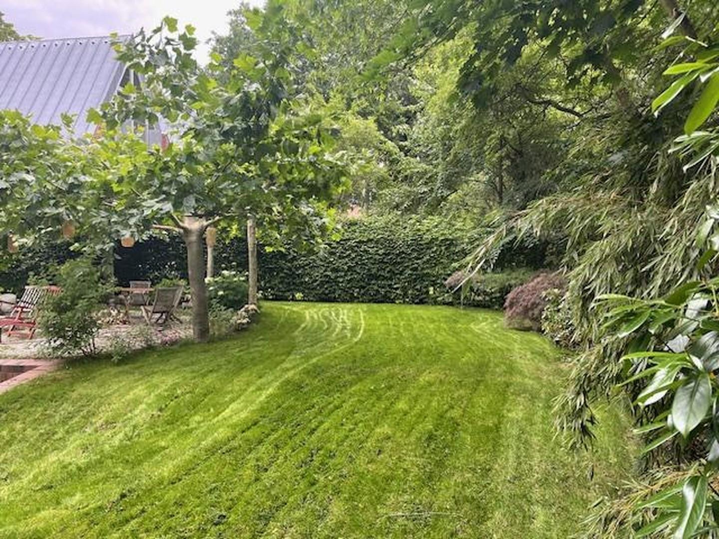 Blick in den Garten