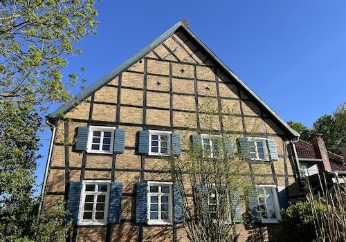Blick aus dem Garten