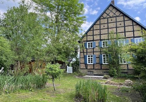 Blick aus ihrem neuen Garten 