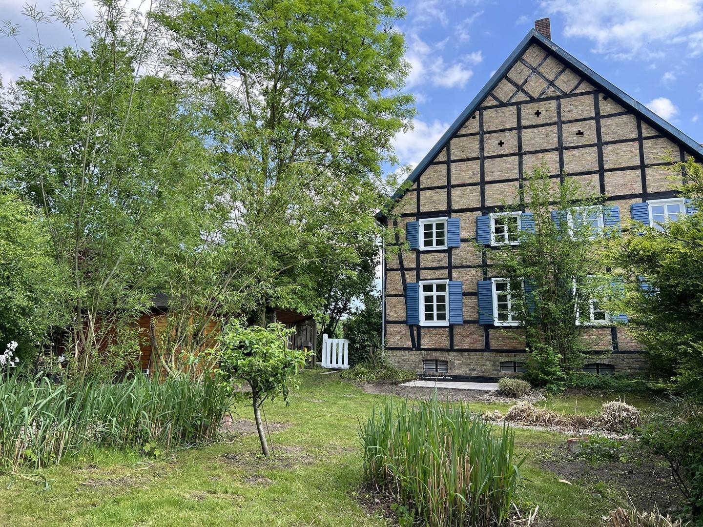 Blick aus ihrem neuen Garten 
