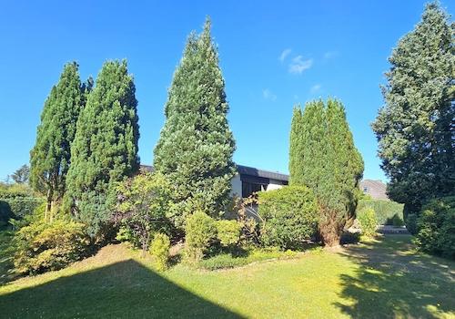 Vorderer Garten
