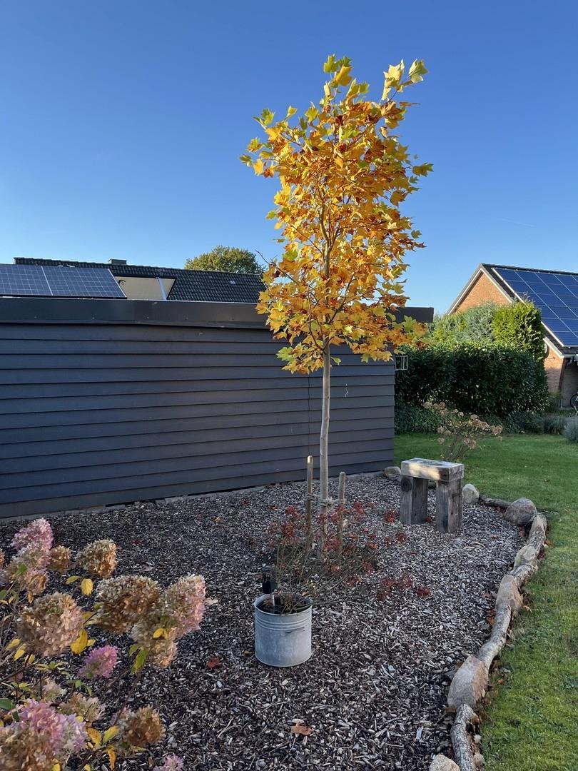 Beet altes Carport