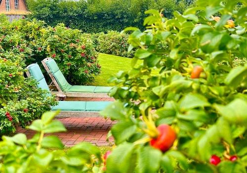 Sonnendeck Garten