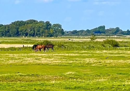 Umfeld - Ausblick