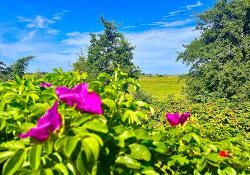 Garten - Weitblick