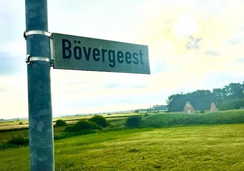 Bövergeest