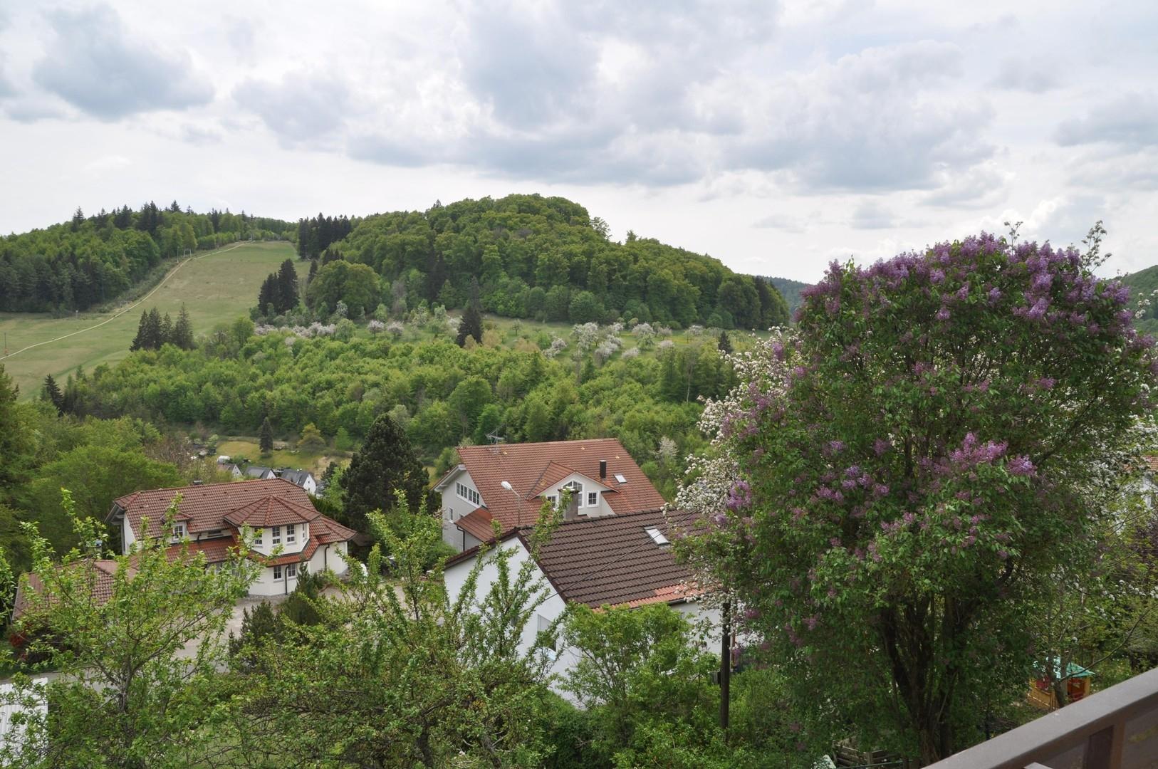 Aussicht vom Balkon