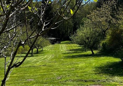 Blick in den Garten