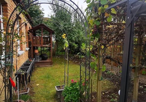 Garten 1