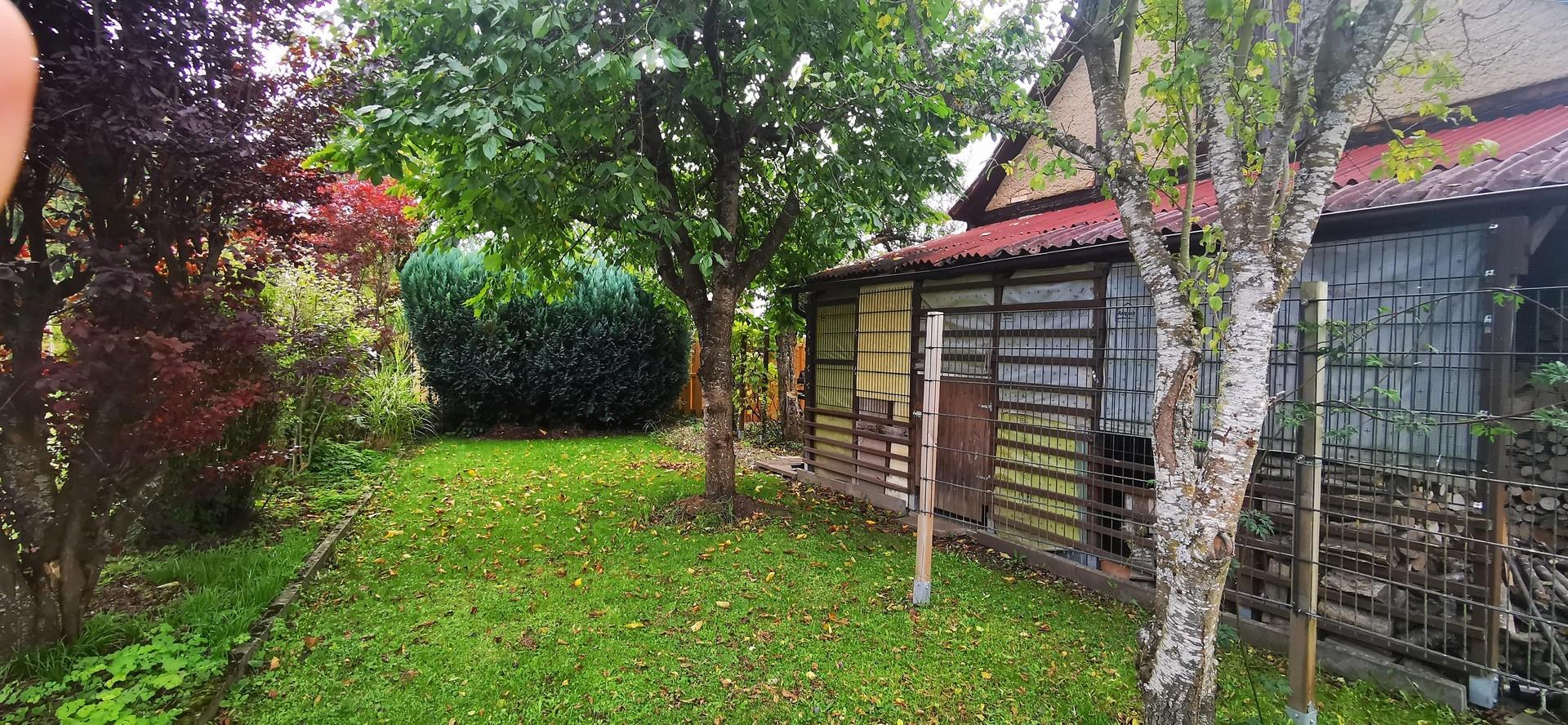 Garten 3