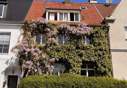 Strassenseitige Hausansicht