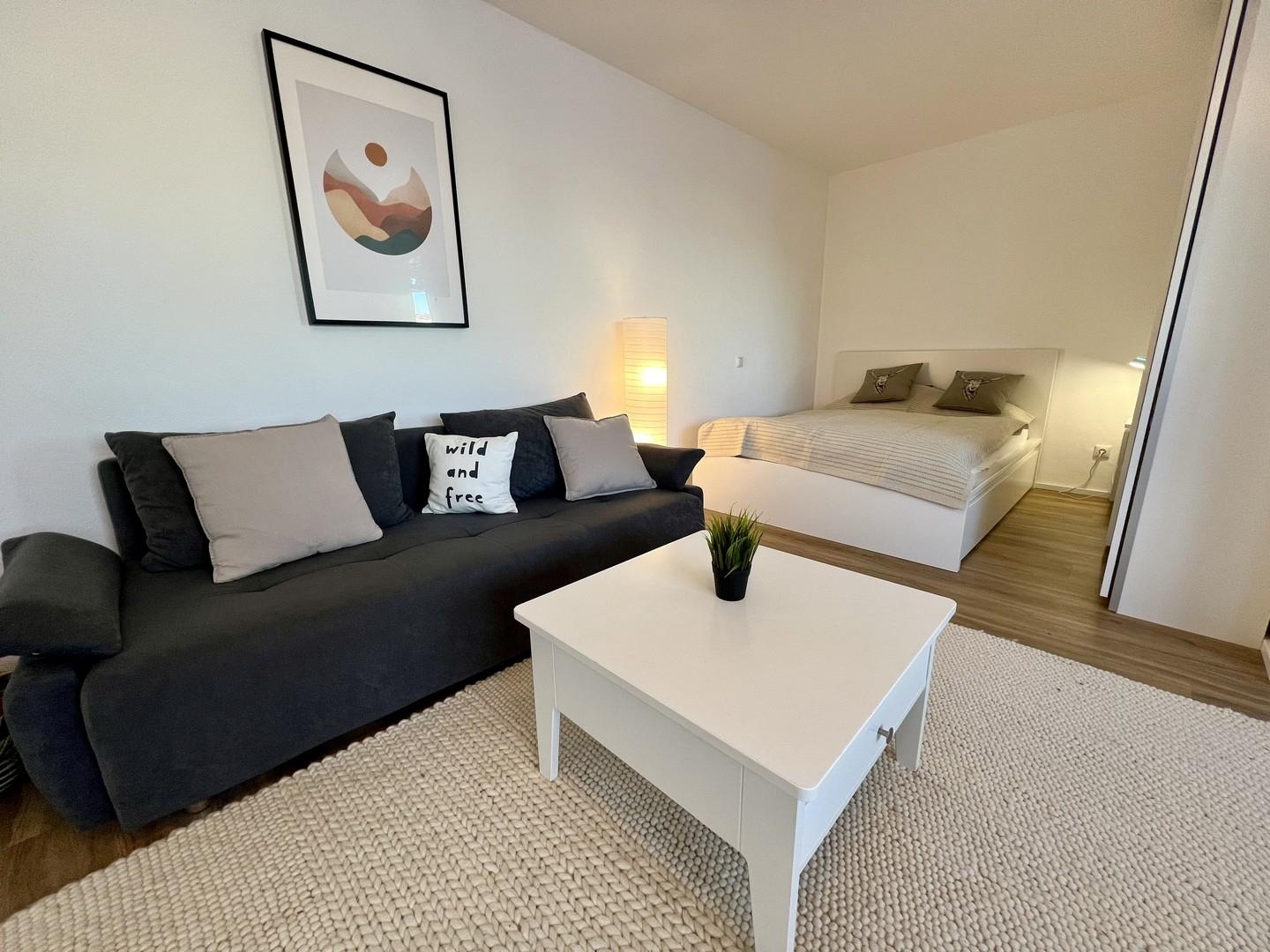 Wohnraum Couch
