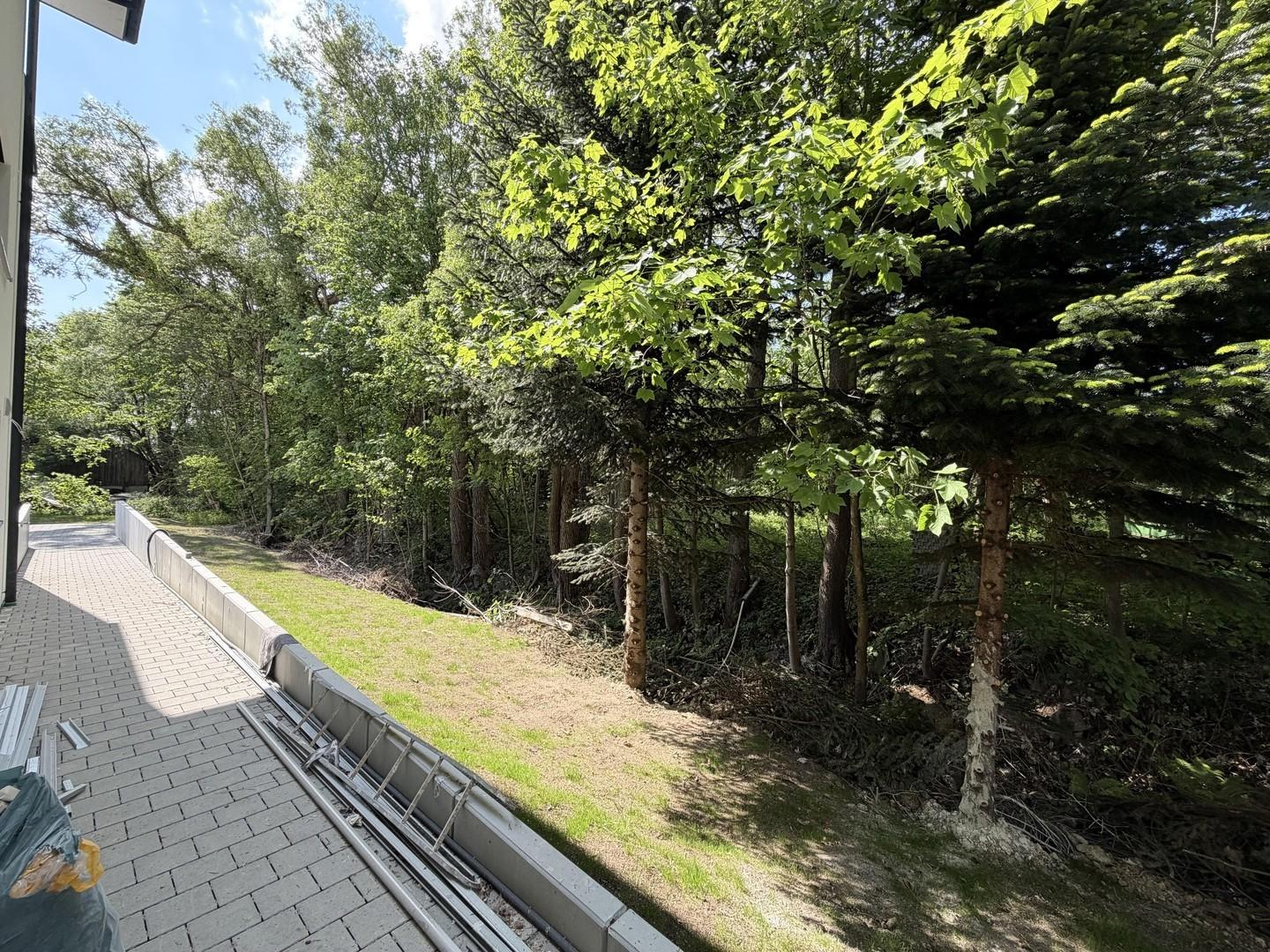 Bachlauf und Baumbestand