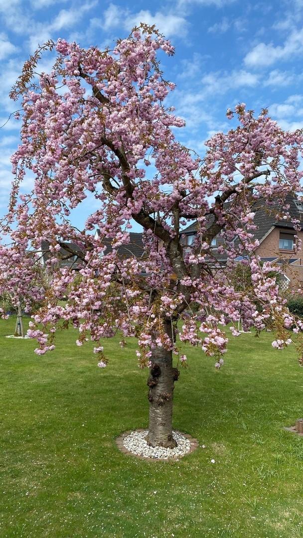 auch im Frühjahr toll
