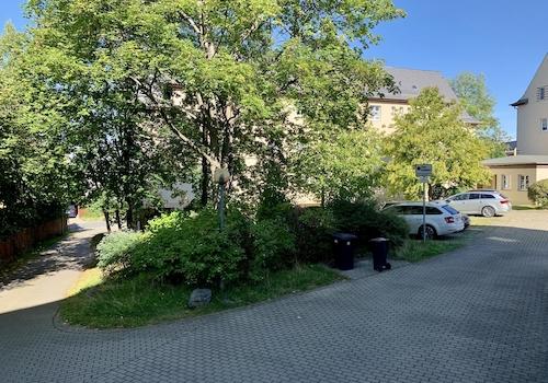 Hinterhaus Spielwiese