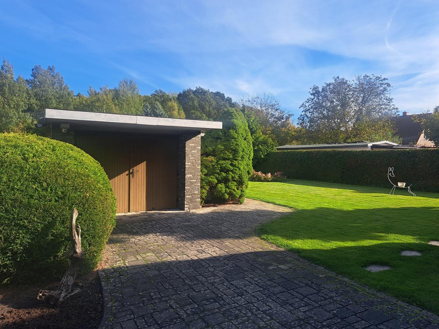 Blick auf Garage und Garten