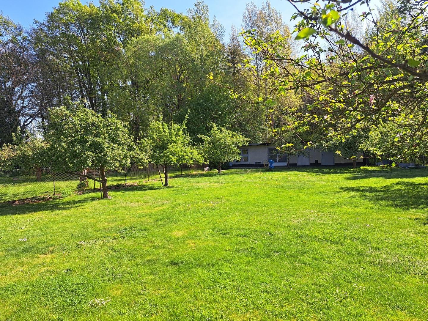 unterer Garten