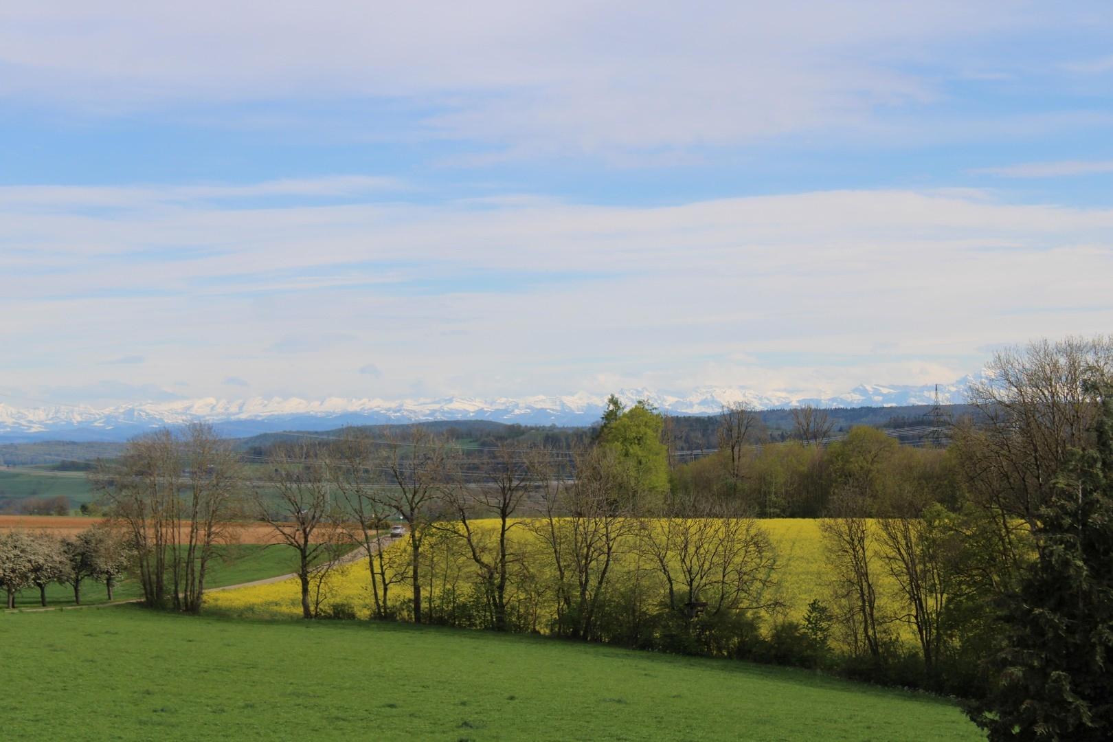Aussicht in die Ferne