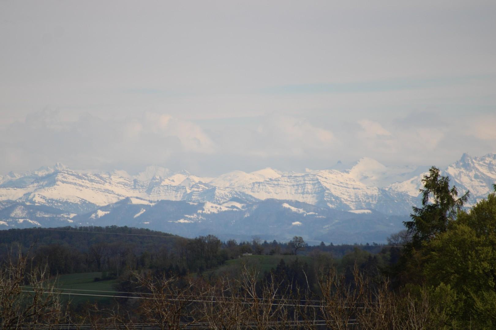 Aussicht Schweizer Alpen