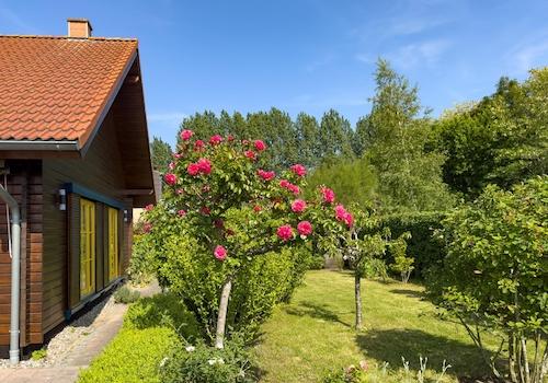 Blick in den Garten