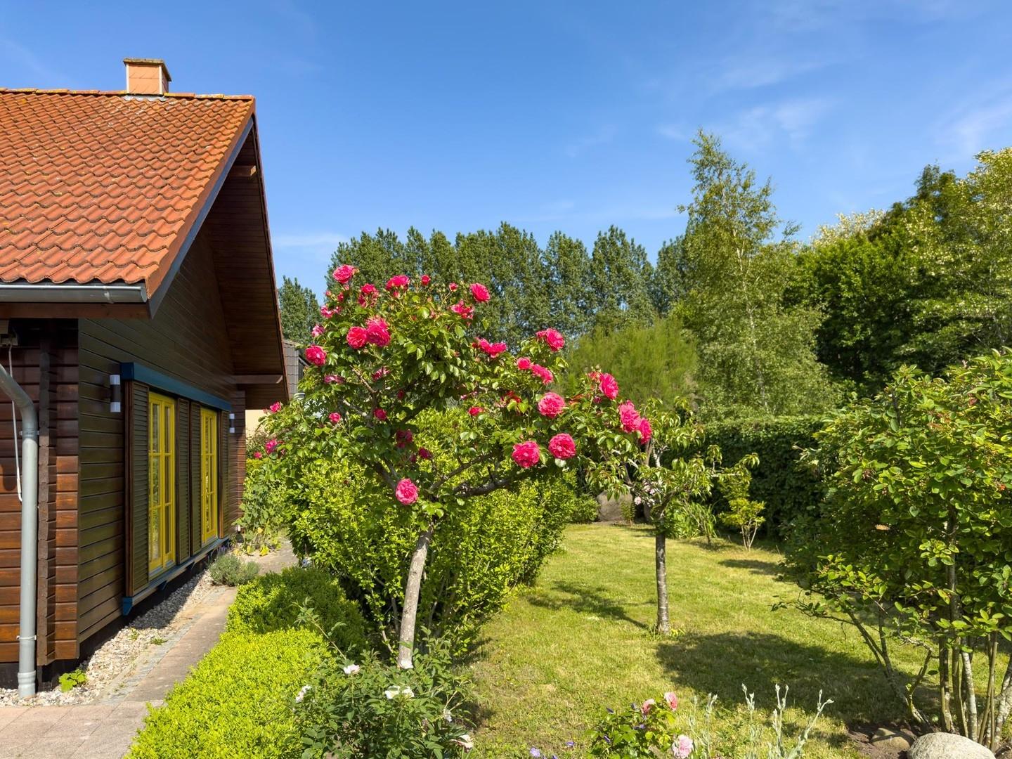 Blick in den Garten