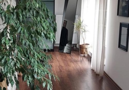 Dachstudio