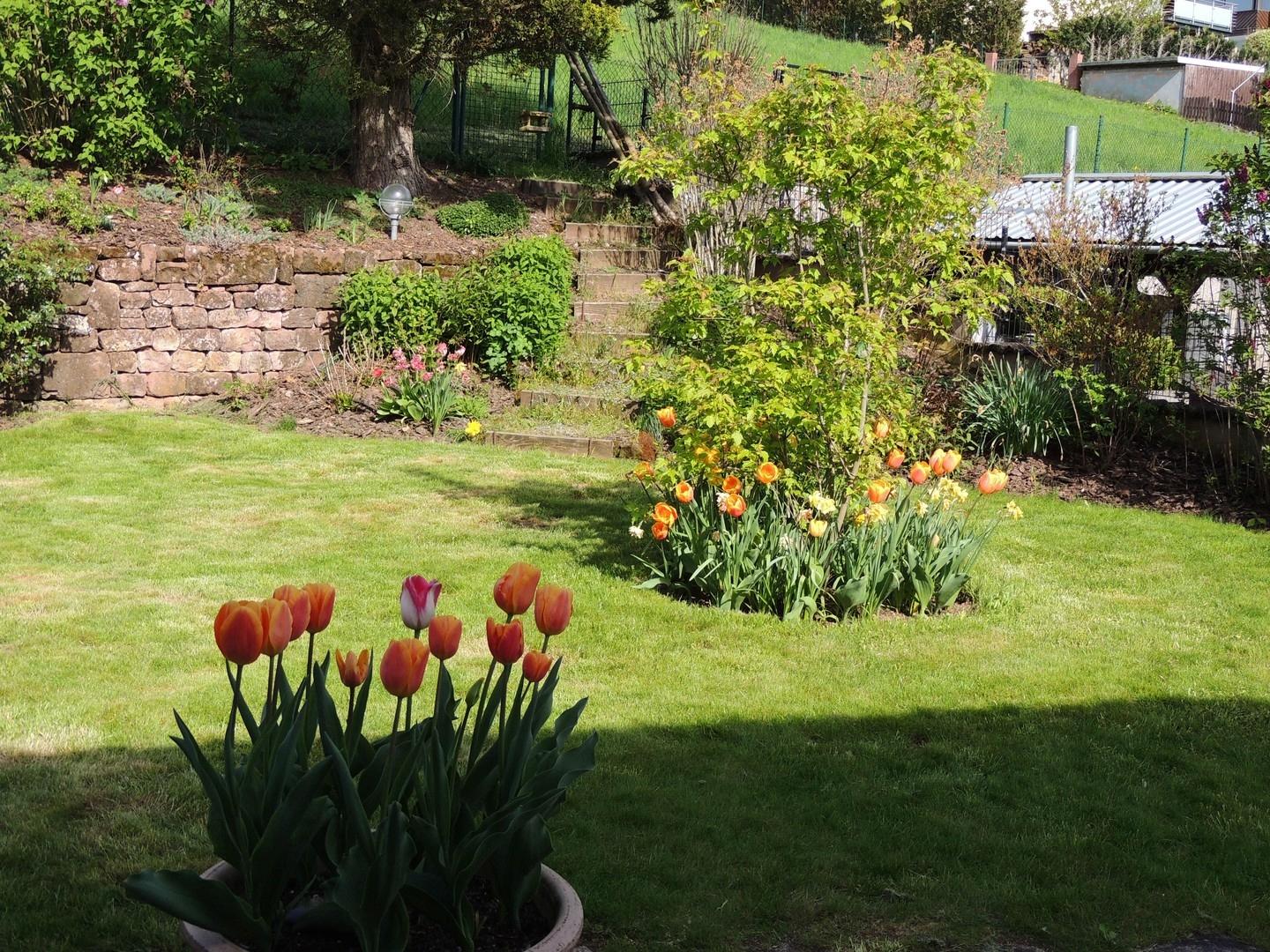 Garten