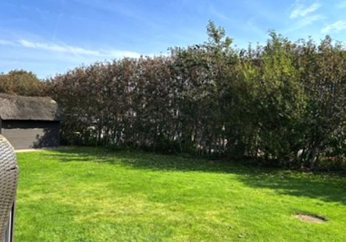 Rundum Büsche als Sichtschutz