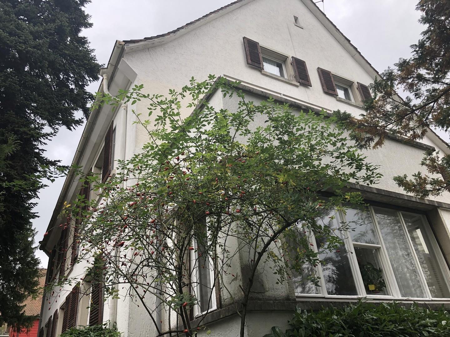 Sicht vom Garten aus