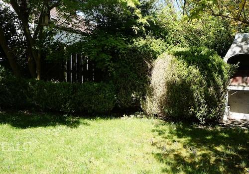 Garten im hinterem Bereich 1