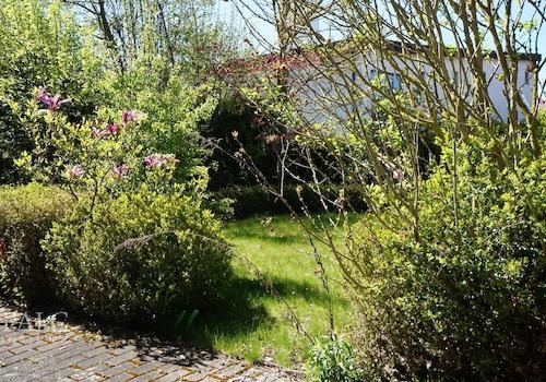 Garten im hinterem Bereich