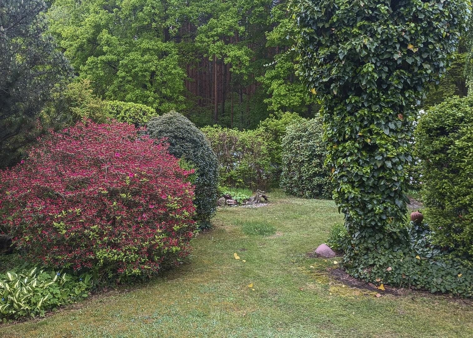 Blick in den Garten