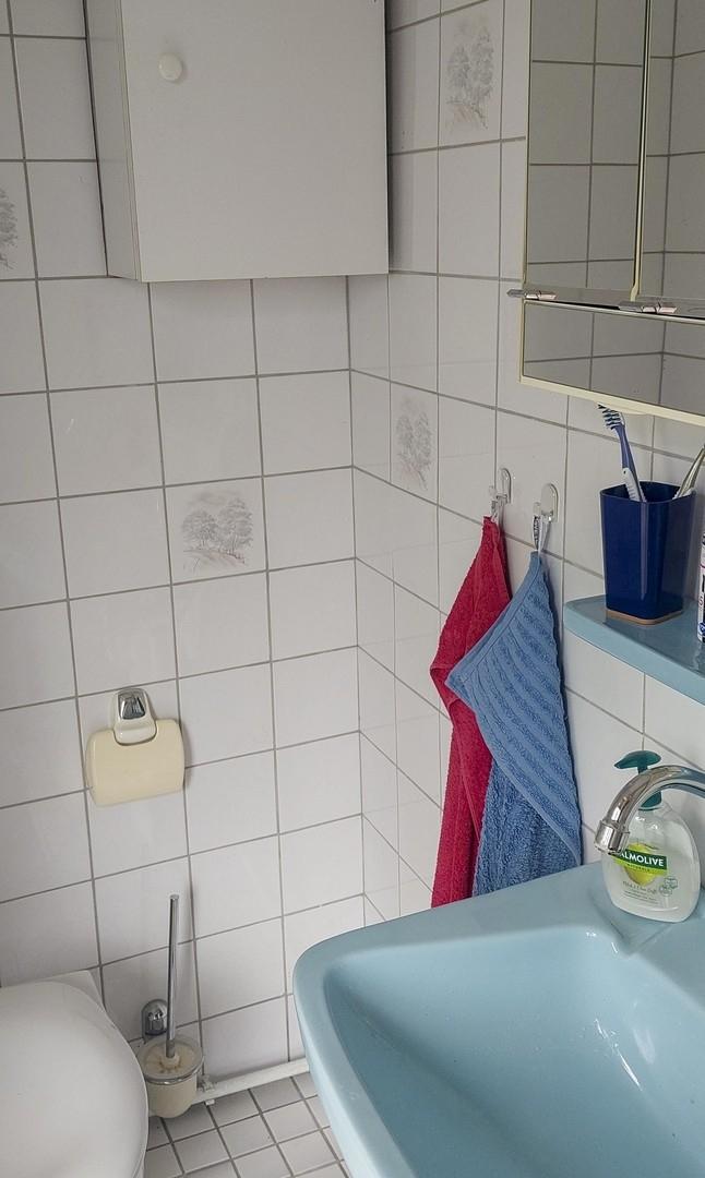 Sanitärbereich
