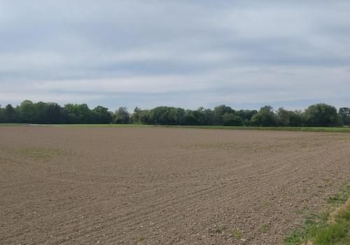 Fernsicht