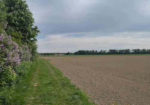 Fernsicht