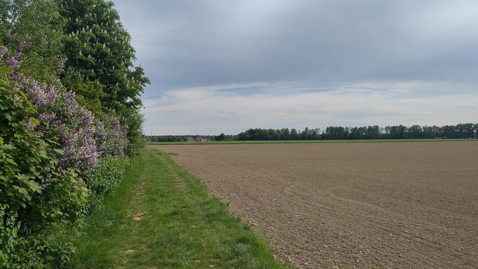 Fernsicht