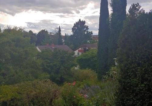 Blick aus dem Fenster