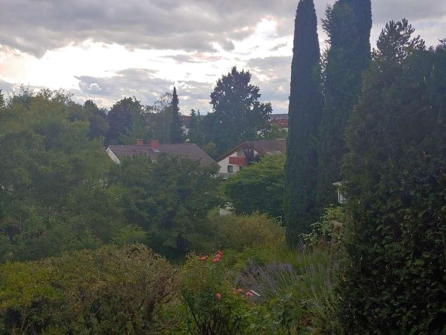 Blick aus dem Fenster