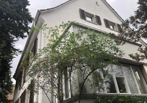 Sicht vom Garten aus
