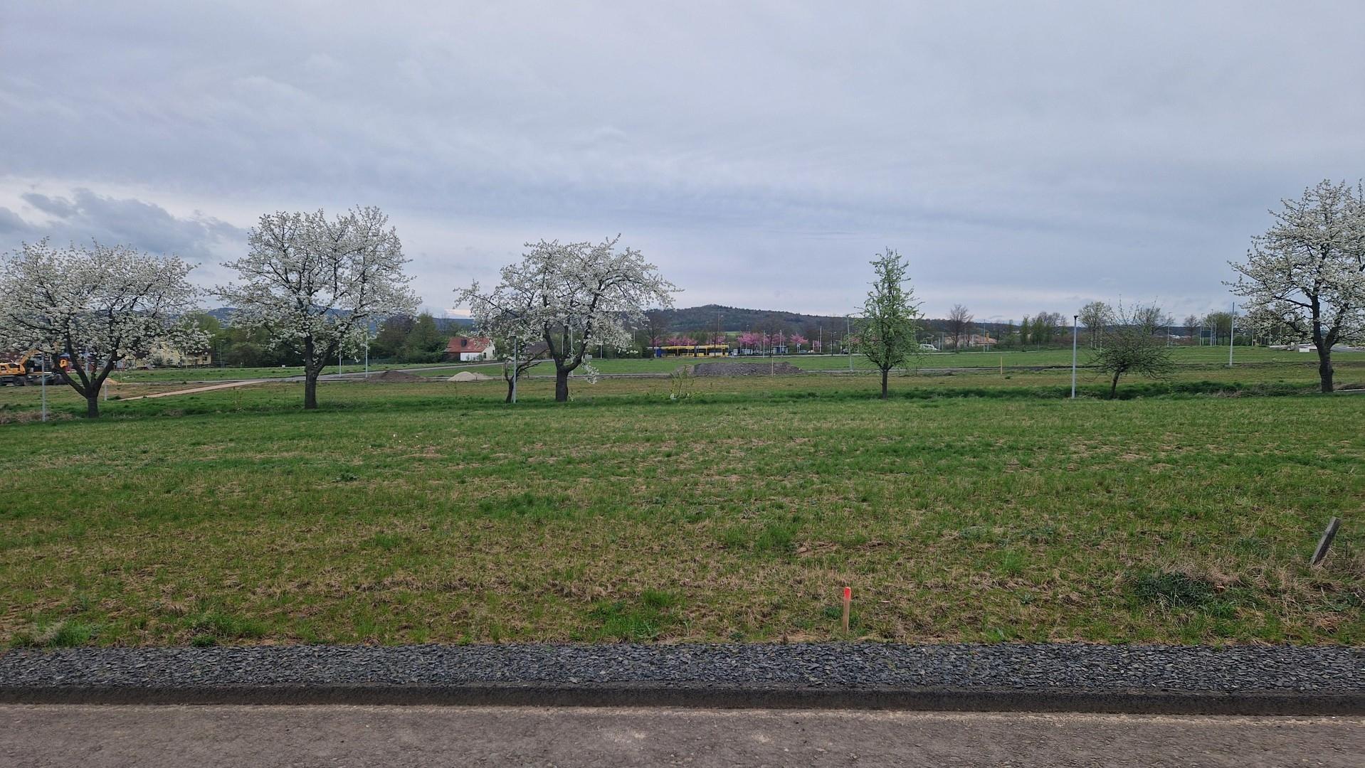 Westblick