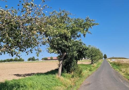 Feldweg in der Nähe