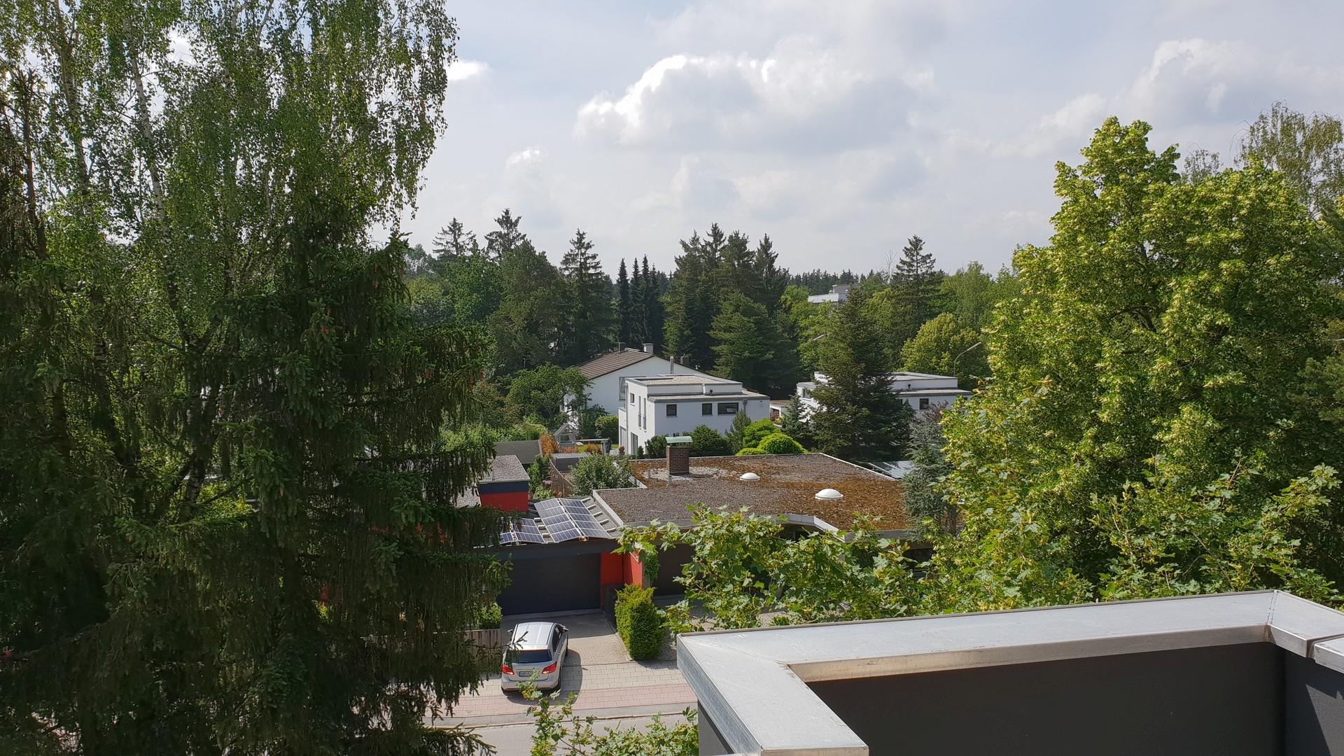 Ausblick ins Grüne
