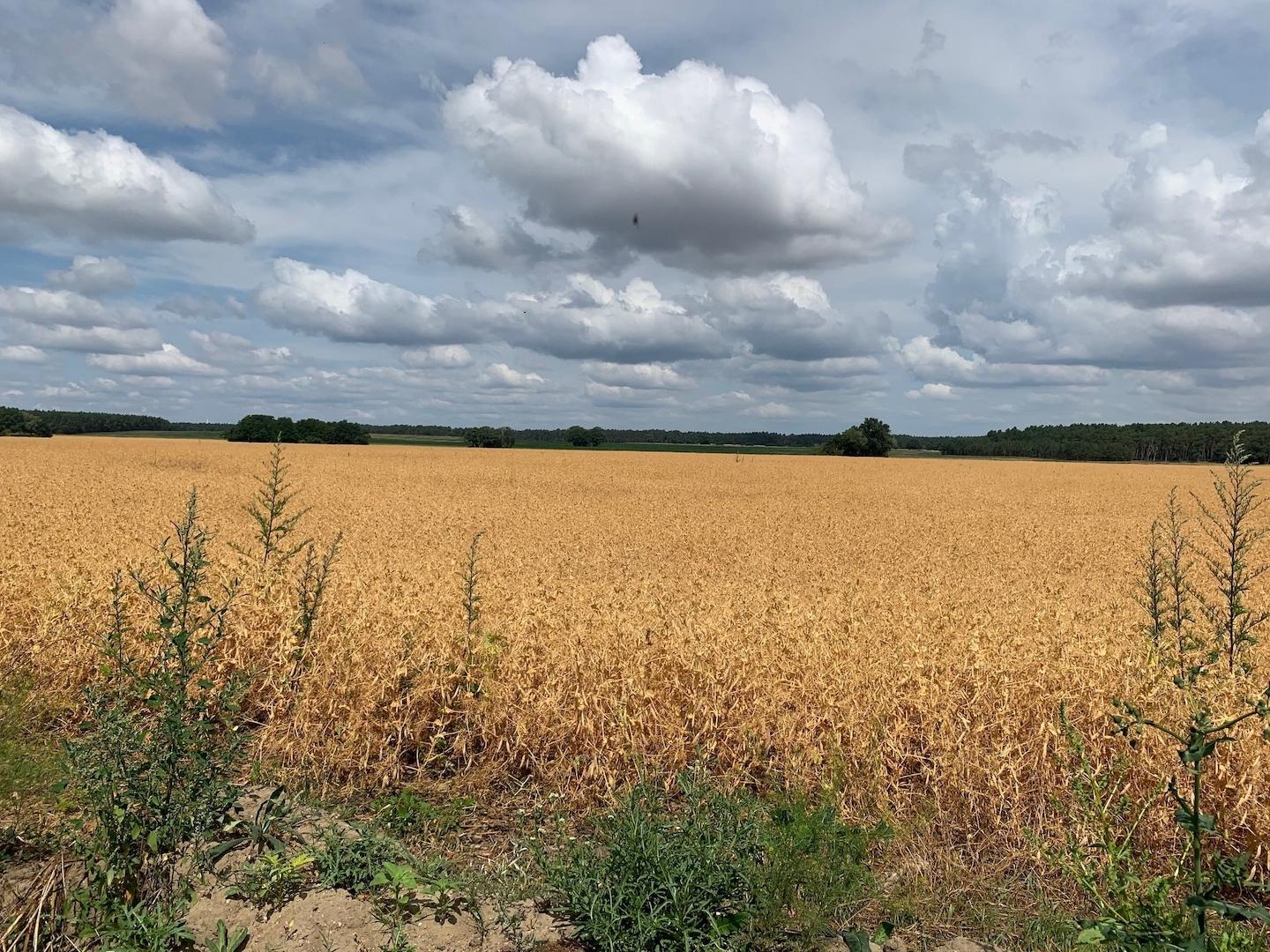Ausblick