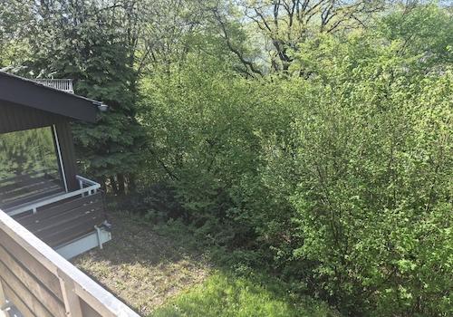 Blick zur Terrasse / Garten