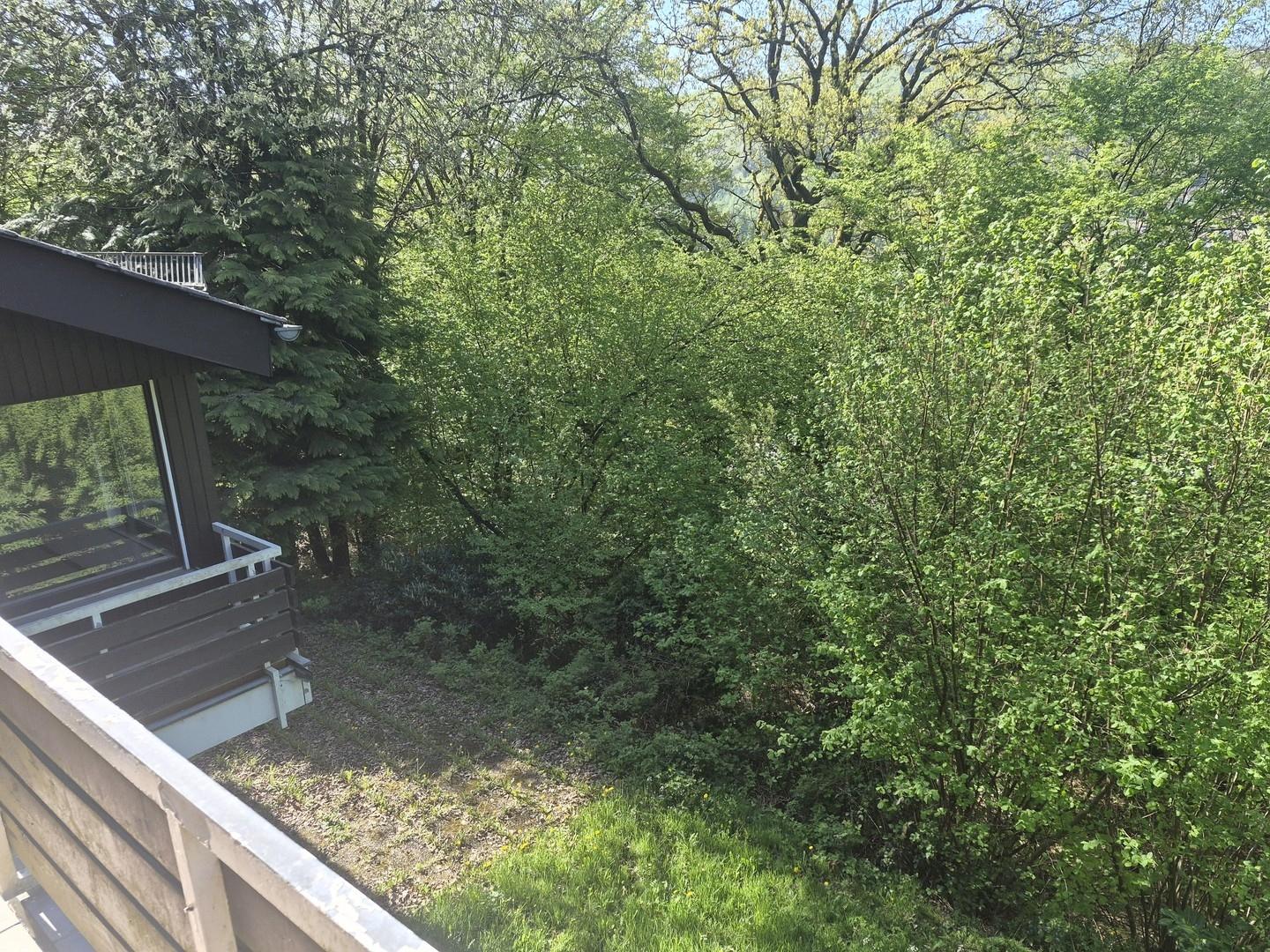 Blick zur Terrasse / Garten