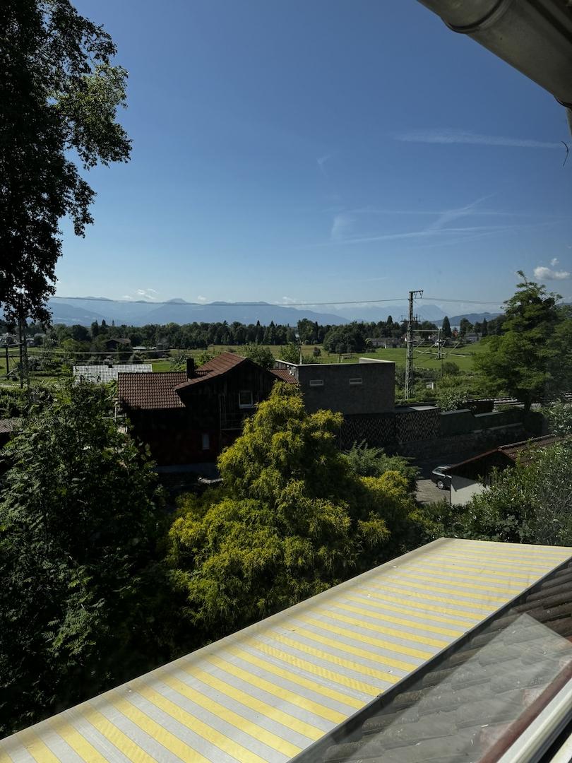 Ausblick OG