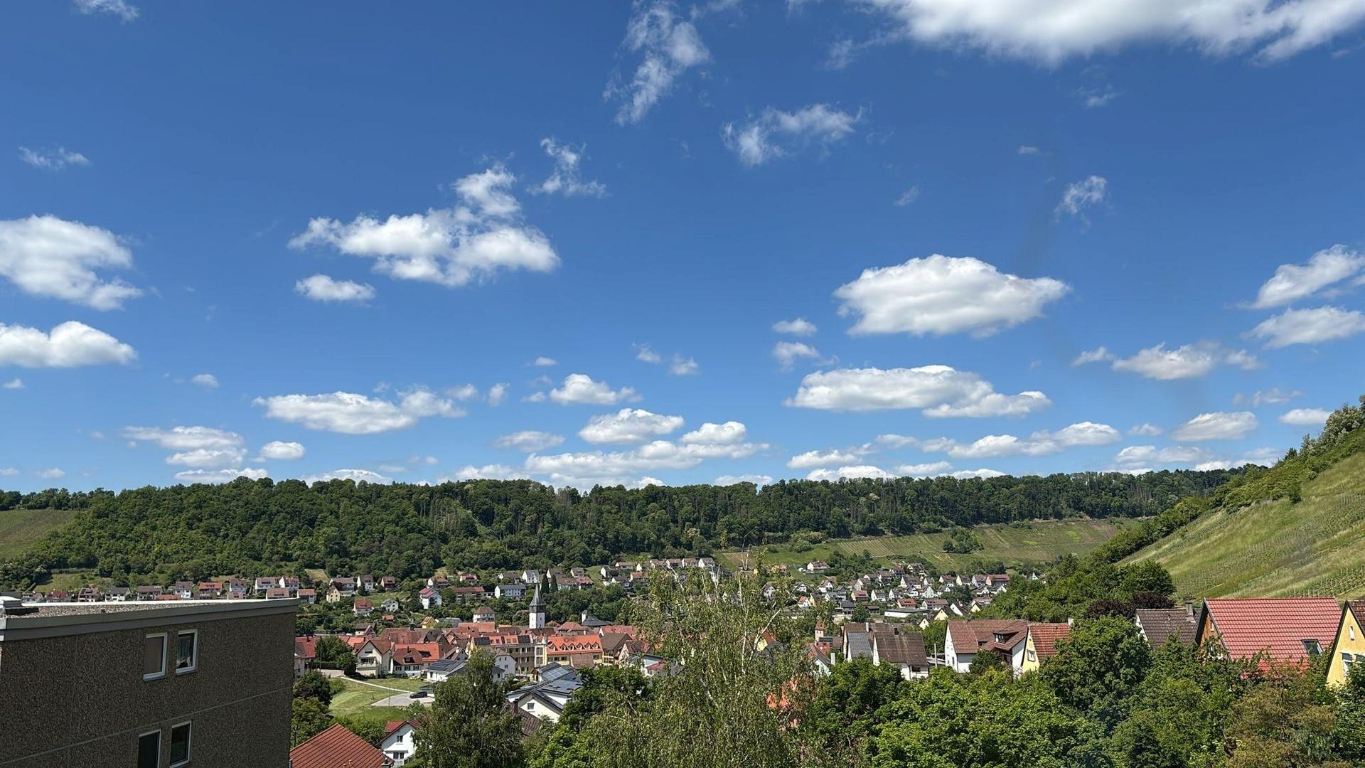 Ausblick