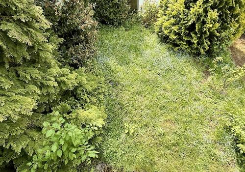 Kleiner Garten