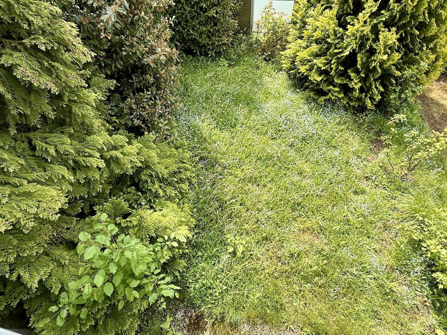 Kleiner Garten